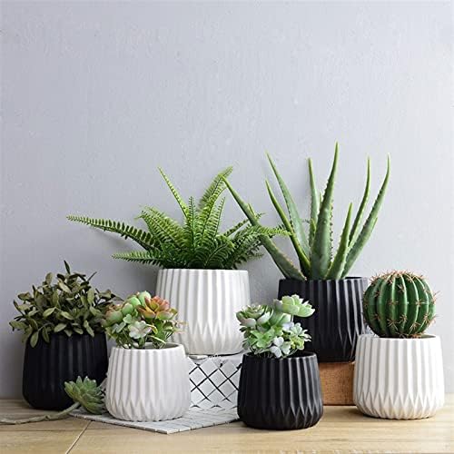 Indoor Plant Pots Black/White Ceramic Plant Pot Modern Minimalist Style Plant Pot Durable Flower Container Small Plant Flower Container Planters for Outdoor Plants(White,Small) - Image 5