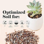 Bonsai Jack Succulent, Cactus and Bonsai Soil - Jacks Gritty Mix - 2 Gallons – Fast Draining – Fight Root Rot – Optimized pH - Image 2