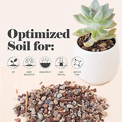 Bonsai Jack Succulent, Cactus and Bonsai Soil - Jacks Gritty Mix - 2 Gallons – Fast Draining – Fight Root Rot – Optimized pH - Image 2