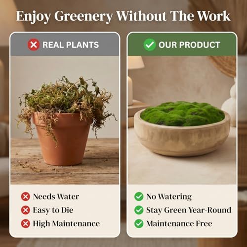 Round Moss Wood Bowl Natural Centerpiece Decor, Classic, 10.5x4inch, Wood - Image 5