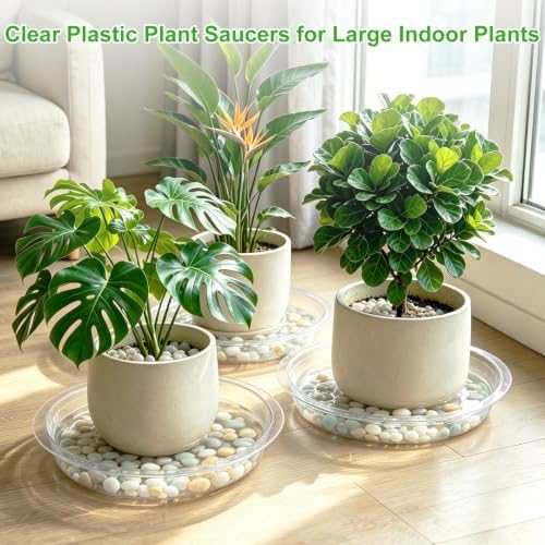 TITE 5 Pack Clear Plant Saucer Heavy Duty Sturdy Drip Trays for Indoor and Outdoor Plants - Image 7