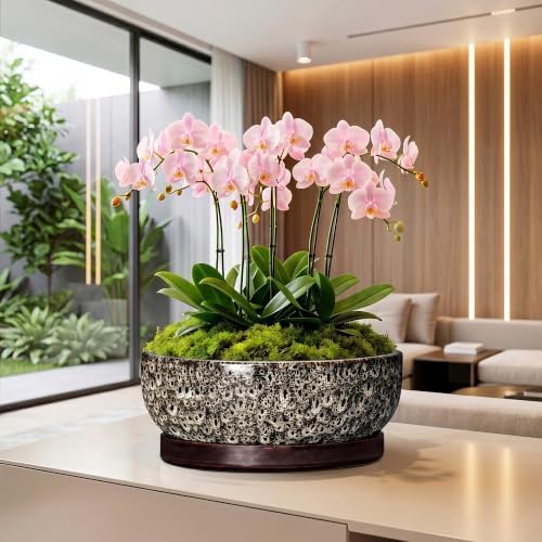 13 Inch Ceramic Bonsai Tree Pot with Saucer, White Leopard - Image 5