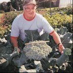Plantfood Helps Your Plants Grow Bigger Faster and Stronger (2.5lb) - Image 7