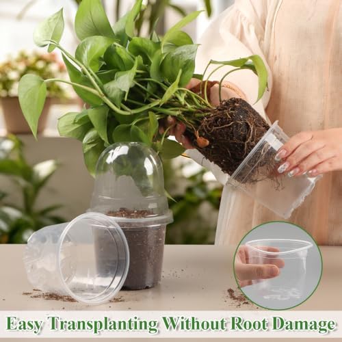 RooTrimmer 60 Pack Clear Nursery Pots with Humidity Domes, 4 Inch Plastic Plant Pots with Drainage Holes for Seedlings, Transparent Seed Starting Pot for Cuttings Propagation Indoor Gardening - Image 4