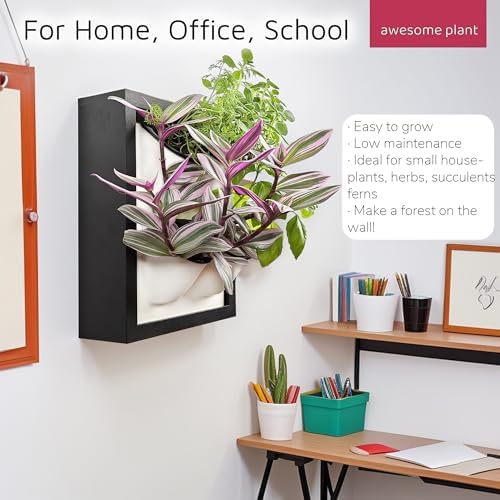 Wall Garden 4 Vertical Wall Planter, 4 Pots Wood Frame Self Watering Living Planter for Home Office Decor, Wall-Mounted Planter for Indoor Houseplants (Black) - Image 4