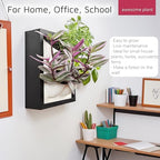Wall Garden 4 Vertical Wall Planter, 4 Pots Wood Frame Self Watering Living Planter for Home Office Decor, Wall-Mounted Planter for Indoor Houseplants (Black) - Image 4
