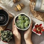 4+6 Inch Ceramic Planter Set of 2 with Drainage Hole,Saucer for Plants, Indoor-Outdoor Large Round Succulent Orchid Flower Pot- Cement Paint, Inner-pots not Larger Than 5 Inch Light Green - Image 5