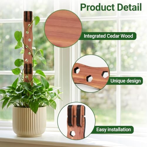 Wooden Extendable Plant Trellis for Potted Plants Indoor, 2 Sets - Image 3