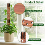 Wooden Extendable Plant Trellis for Potted Plants Indoor, 2 Sets - Image 3