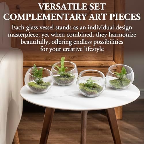 MyGift 5 Inch Clear Glass Round Bowl Air Plant Terrariums, Set of 4 - Image 3
