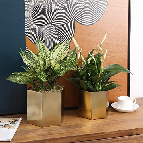 MyGift Metallic Brass Metal Hexagon Planter Pots Set of 2 Handmade in India - Image 5