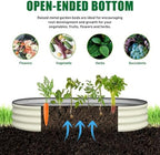 SnugNiture 2 Pcs 6x3x1ft Oval Metal Raised Garden Bed for Vegetables, White - Image 4