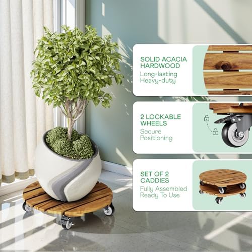 IDZO 2PCS Acacia Round Plant Caddy, 360° Lockable Wheels, Natural, 14-Inch - Image 2