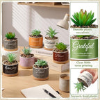 9 Set Christain Artificial Succulent Plants in Pots Gifts Mini Bible - Image 3