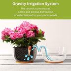 Blumat Classic Self-Watering Stakes - Prevents Overwatering and Underwatering for Healthy Growth While You are Away - Ideal for Indoor Plant Watering, 15 Pack, wo Adapter - Image 5