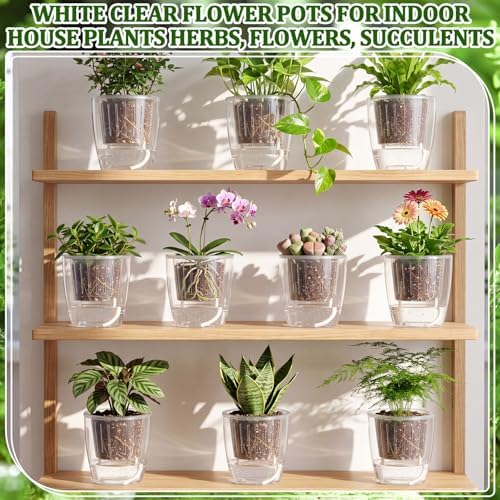 Self Watering Plant Pots, 5.1'', Transparent, 24 Pcs - Image 6