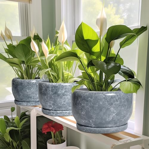 SQOWL Ceramic Pot for Plants - 10 Inch Plant Pot Indoor with Drainage Hole and Saucer, Round Ceramic Planter, Decorative Large Flower Pot Outdoor, Home Office Room Decor, Garden Gifts, Gray - Image 6