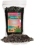 Organic Zamioculcas Plant Soil Mix by Gardenera - Cultivate Elegance Excellence with Natural and Nutrient-Rich Formula - 5 Quart by Gardenera