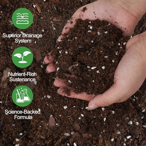 All-Natural Money Tree Soil & Indoor Potting Mix 10QT - Drainage-Enhanced Plant Soil for Healthy Indoor Plants - Image 2