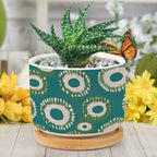 Green and Bukhara Ikat Ceramic Planters Peacock Strip Print Pots for Plants with Drainage Holes and Saucers Pot for Succulents Cactus Garden Windowsill - Image 6