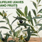 Timoo Faux Olive Tree Olive Trees Artificial Indoor with White Planter (5 FT) - Image 3