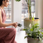 Fiskars Plant Care Mist & for Watering Can - Image 3