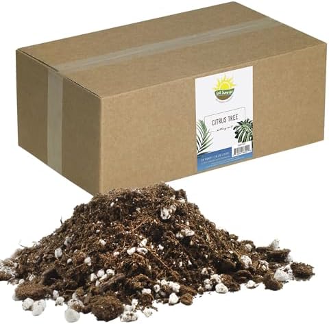 Soil Sunrise Citrus Tree Potting Soil Mix (30 Quarts) Special Blend for Indoor Oranges, Lemons, Limes and More by SoilSunrise