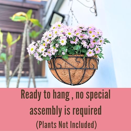 LaLaGreen Porch Hanging Planter (16 in, 6 Pack) Black Metal Garden Pots - Image 4