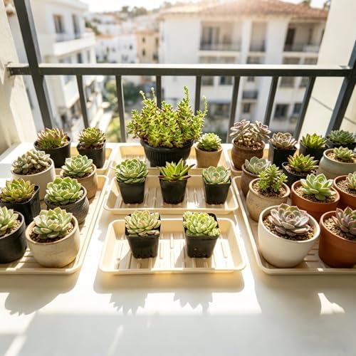 4 Pack Rectangular Plant Saucer 16 Inch, Heavy Duty Plastic Drip Trays for Pots, Windowsill Planter, Indoor Outdoor, 7.0 x 16.1 Inches, Beige - Image 5