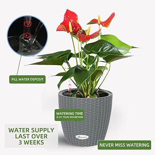 Dexceder 9x8 Self Watering Planter (Deep Gray Rattan) - Image 4