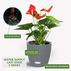 Dexceder 9x8 Self Watering Planter (Deep Gray Rattan) - Image 4
