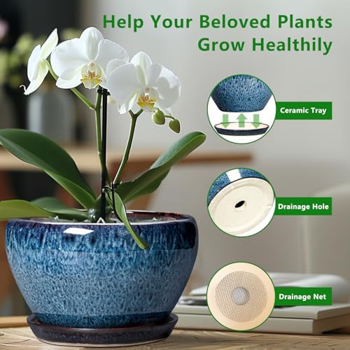 Ceramicfor Ceramic Plant Pots 13 Inch - Indoor Planter with Drainage Hole and Saucer, Decorative Large Planter for Indoor Outdoor Plants, Ceramic Flower Pots, Gifts for Plant Lovers, House Decor, Blue - Image 5