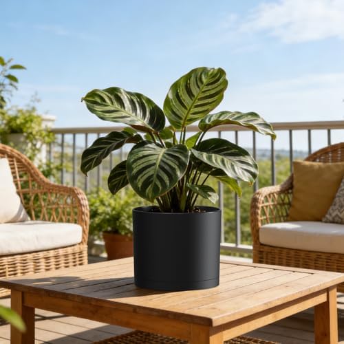 Plant Pots, 10/9/8 Inch 3 Pack Cylindrical Flower Pots with Drainage Holes and Saucers, Plastic Planters for Outdoor Indoor Plants,Black - Image 6