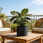 Plant Pots, 10/9/8 Inch 3 Pack Cylindrical Flower Pots with Drainage Holes and Saucers, Plastic Planters for Outdoor Indoor Plants,Black - Image 6
