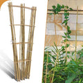 10 Pack 4ft Bamboo Trellis for Climbing Plants, Fan-Shaped Garden Support by Biotolot