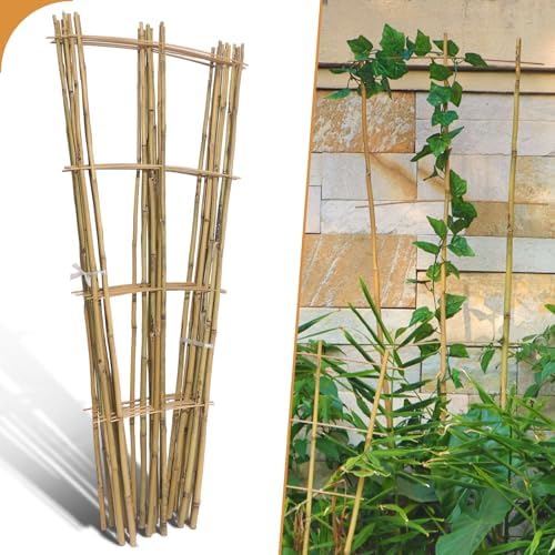 10 Pack 4ft Bamboo Trellis for Climbing Plants, Fan-Shaped Garden Support by Biotolot
