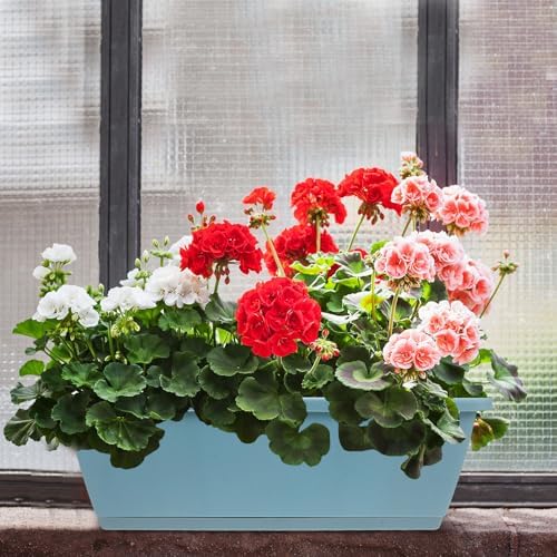 Vegetable Planter Pot with Tray 2 Sets Medium Rectangular Plastic Window Box Flower Holder Blue for Indoor Outdoor Garden Balcony - Image 5
