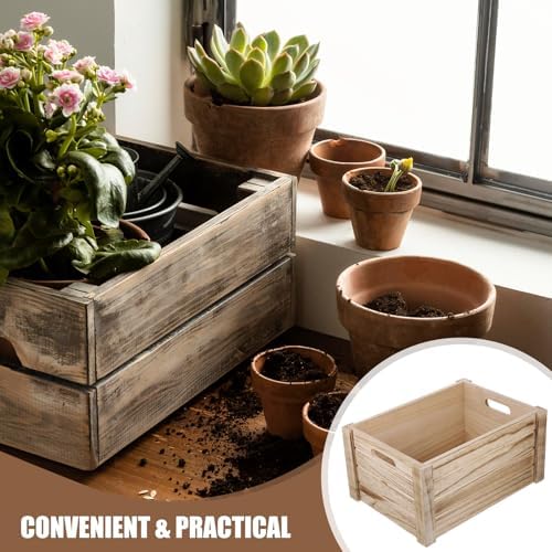 Sewroro Wooden Planter Box Khaki Rectangular for Succulent Plants - Image 7