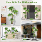 6FT Artificial Ficus Tree with White Planter, Moss and Pebbles - Image 6