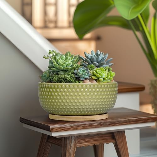 Bonsai Planter - 8 Inch Ceramic Succulent Pots with Drainage Hole and Saucer for Indoor Plants, Boho Shallow Round Planter Bowl, Desk Decor, Garden Lover Gifts, Green - Image 5