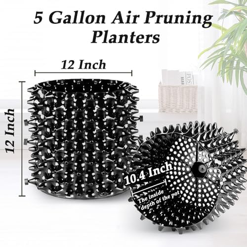 RooTrimmer 5 Gallon Air Pruning Containers, Roots Control Planter New Plastic Nursery Pots Fruit Vegetable Orchard Garden Self-Planting Pots, Size 12"x12", Black, (10P) - Image 5
