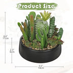 DILATATA Artificial Cactus Plants in Pot 5.5 Inch Fake Succulents Arrangement Potted Plant in Black Ceramic Planter Bowl for Home Office Desk Shelf Living Room Bedroom Bathroom Decor - Image 2