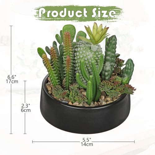 DILATATA Artificial Cactus Plants in Pot 5.5 Inch Fake Succulents Arrangement Potted Plant in Black Ceramic Planter Bowl for Home Office Desk Shelf Living Room Bedroom Bathroom Decor - Image 2