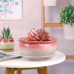 8 Inch Succulent Pot with Drainage and Saucer Glazed Terracotta Round Ceramic Succulent Planter Cactus Bonsai Plant Pot (Pink) - Image 4