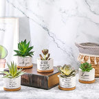 Fumete 12 Sets Bible Verse Succulent Pots 3 x 2 in, Scripture Series - Image 5
