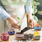 24 Pcs Small Succulent Pots with Drainage - 2.5 Inch Mini Ceramic Cactus Planters with Bamboo Saucers, 8 Colors Ice Crack Glaze Flower Pots for Plants, Home Office Desk Decor - Image 5