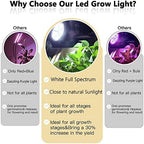 MILYN LED Grow Light Bulb for Indoor Plants Full Spectrum Pure White Grow Lamp, 2 Pack 100W E26 LED Plant Bulb for Seedlings, Flowers, Greenhouse, Vegetable, Succulent, Houseplants, Hydroponic - Image 5