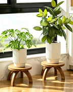 2 Pcs Short Plant Stand Small Wood Plant Stool for Indoor Plants - Image 6