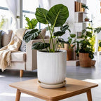 Deep Dream 8 Inch Ceramic Pots for Plants, Heavy Plant Pot for Indoor Outdoor Plants, Large Plant Pot with Drainage Hole and Saucer, Modern Tall Flower Pot, Gifts for Plant Lovers, White - Image 5