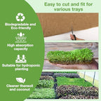 10 Pack 1020 Seed Starting Trays, Microgreens Growing Kit - Image 4